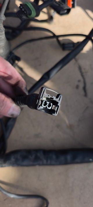 Instalación Eléctrica Ducati Monster 695