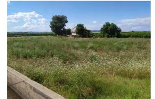 SE VENDE TERRENO EN GUADASUAR.