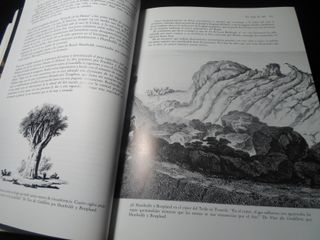 Humboldt y el Cosmos: Vida, obra y viajes