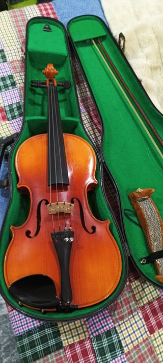 Violín Carl Hofner 1981 con estuche