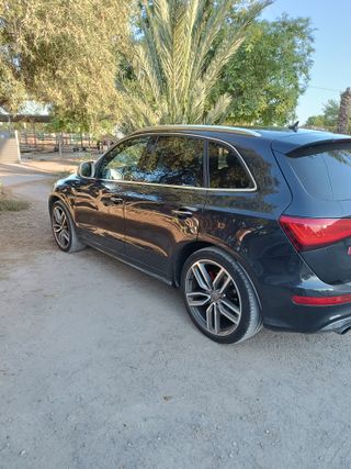 Audi SQ5 2014