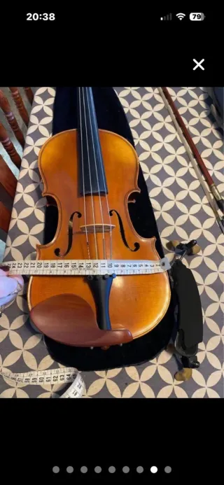 Viola, instrumento de cuerda