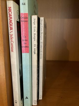 Lote de 18 novelas hispanoamericanas