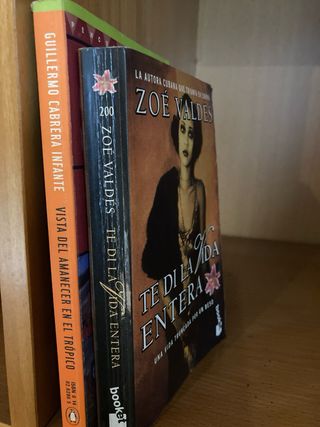 Lote de 18 novelas hispanoamericanas