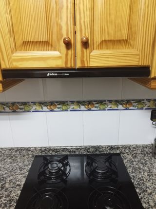 Horno y Vitrocerámica Gas Edesa