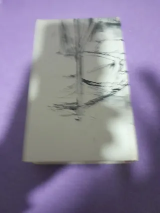 2 Libro antiguo ilustración pareja