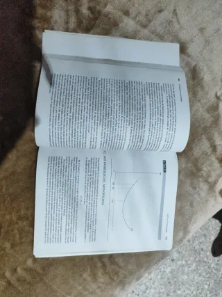 PRINCIPIOS DE ECONOMIA