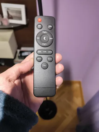 Lámpara de pie LED con mando