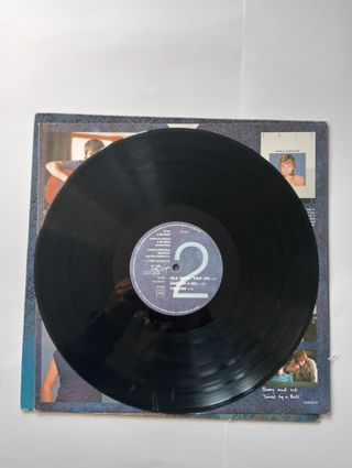 Mike Oldfield - Discovery Vinil