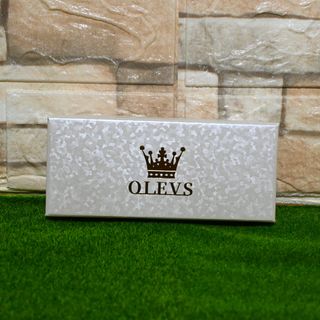 Relógio Masculino Olevs 5513