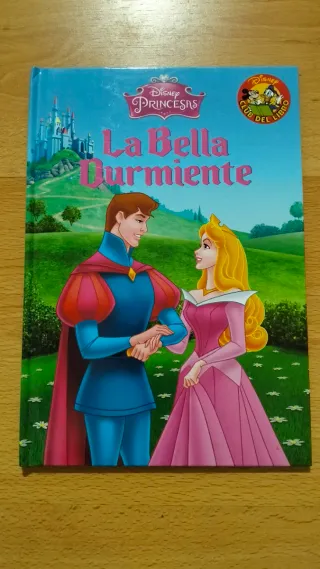 Lote de 9 Cuentos Disney Princesas