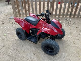 Quad gasolina infantil 50cc marca clipic