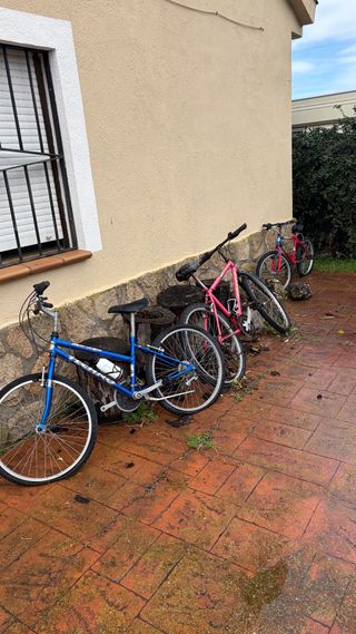 Lote de 3 bicicletas