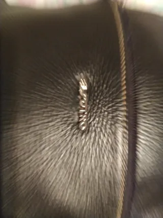 Mochila/Bolso El Potro Nuevo