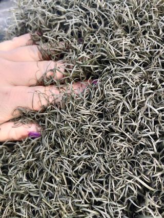 Césped artificial reciclado