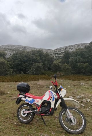 Garelli Tiger 125cc Enduro