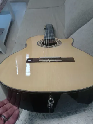 Guitarra Flamenca Doble Amplificación