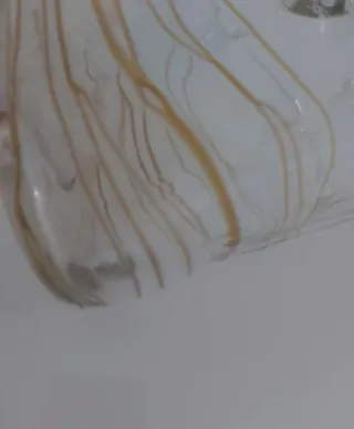 Vaso cristallo borsa fiori rosa trasparente