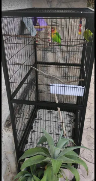 Jaula para pájaros PawHut 79x52x137cm+metacrilatos