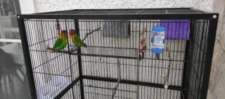 Jaula para pájaros PawHut 79x52x137cm+metacrilatos