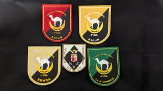 Lote 5 Parches Policía Territorial Sáhara