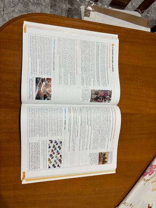 Economía. 1 Bachillerato. Revuela