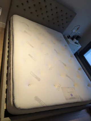 Cama King Size 200x150 + Colchón regalo