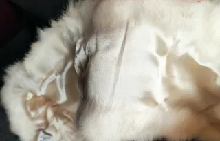 Estola de pelo Zara color crema