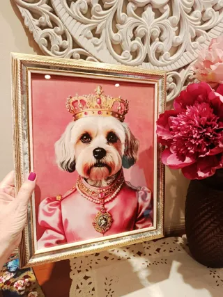 4x12€ Láminas Divertidas