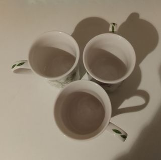 Tazas de porcelana fina Inglesa Jardin Botánico.