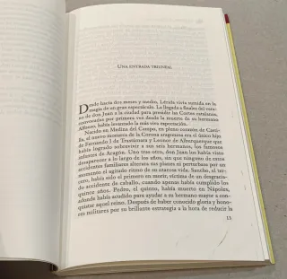 Libro El príncipe de Viana Ibars