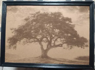 Cuadro grabado láser furgoneta VW