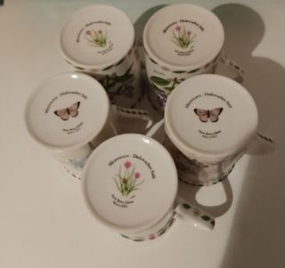 Tazas de porcelana fina Inglesa Jardín Botánico