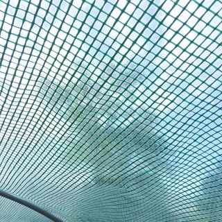 Invernadero para Huerto en Túnel Con Puerta Y 8 Ventanas, Invernadero de Jardín en PE Y Metal Zincado, para Cultivo de Plantas, 600X300X200Cm