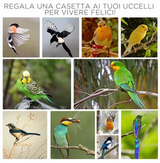 Jaula para Aves de Exterior en Madera de Abeto y Metal, Voladera para Aves con 3 Aberturas con Bloqueo, 4 Posaderos y Bandeja Extraíble, 80.5X57X153 Cm, Gris Claro