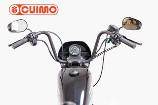 HARLEY DAVIDSON SPORTSTER 1200 IRON