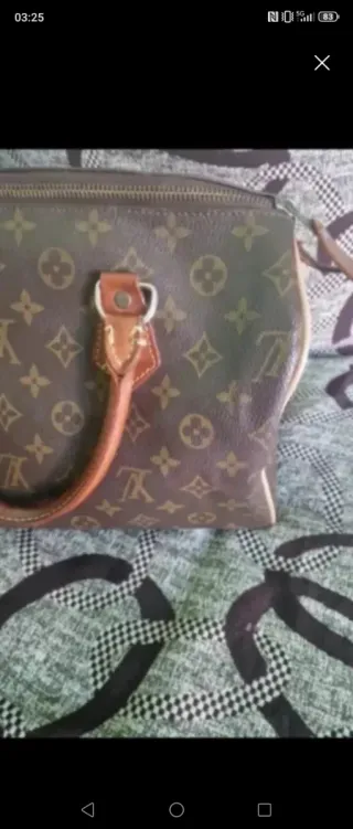 Borsa  Speedy Monogram