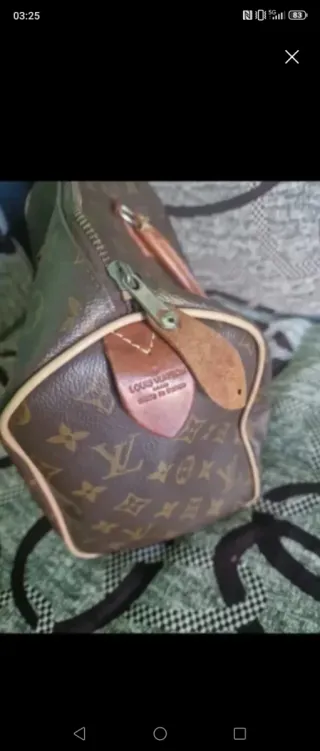 Borsa  Speedy Monogram