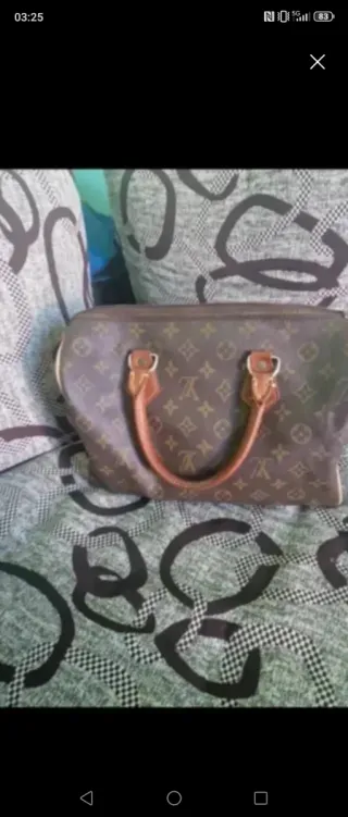Borsa  Speedy Monogram
