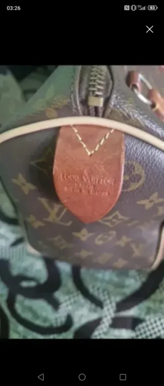 Borsa  Speedy Monogram