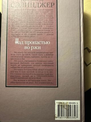 Над пропастью во ржи Повесть