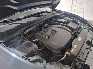 SEAT Nuevo León SP 1.5 eTSI 110kW DSG S&S FR