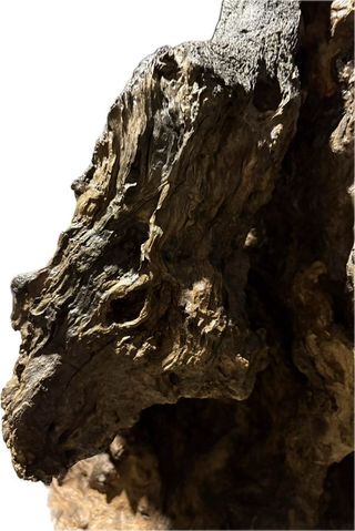 Mesa/Encimera/Cabecero/Lámpara, relojes.