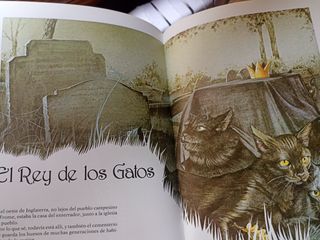 Cuentos Maravillosos de Hoy y de Siempre