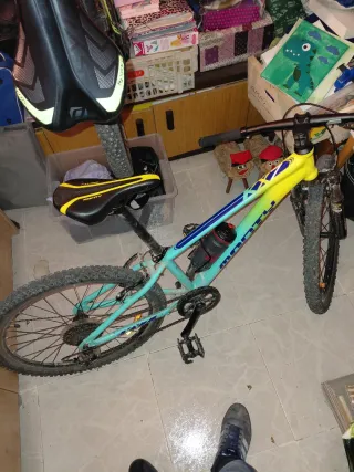 Bicicleta Monty Niña/o