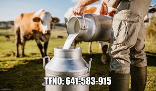 Clases de inglés vía telefónica o Skype.