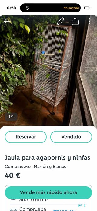 Jaula para agapornis, ninfas y canarios