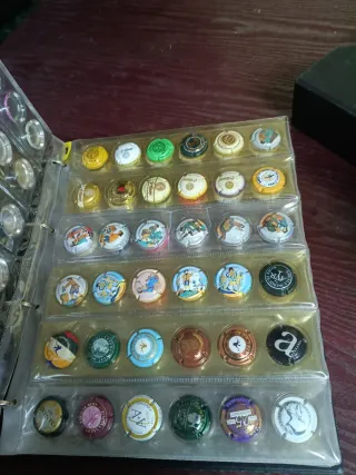 Col. 3 álbumes chapas cava + caja llena de chapas