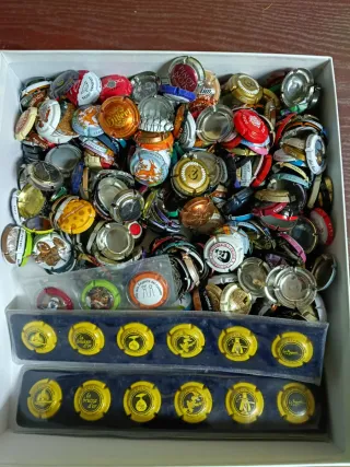 Col. 3 álbumes chapas cava + caja llena de chapas