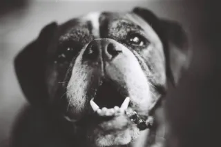 Cámara Canon AE-1 program + objetivo FD 50mm 1:1.4